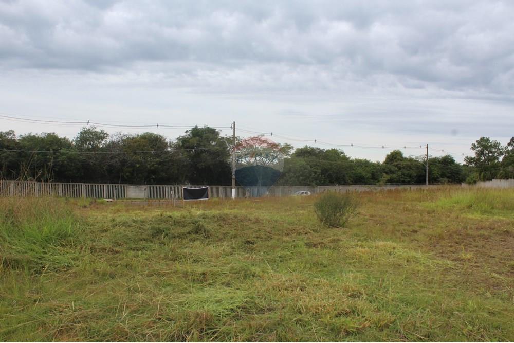 Terreno - Venda - Gravataí , Rio Grande do Sul - IMG_3916.JPG - 610161057-54