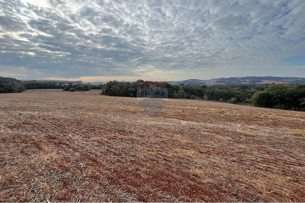 Fazenda - Venda - Lagoa Vermelha , Rio Grande do Sul - IMG_2532.JPG - 610111017-1