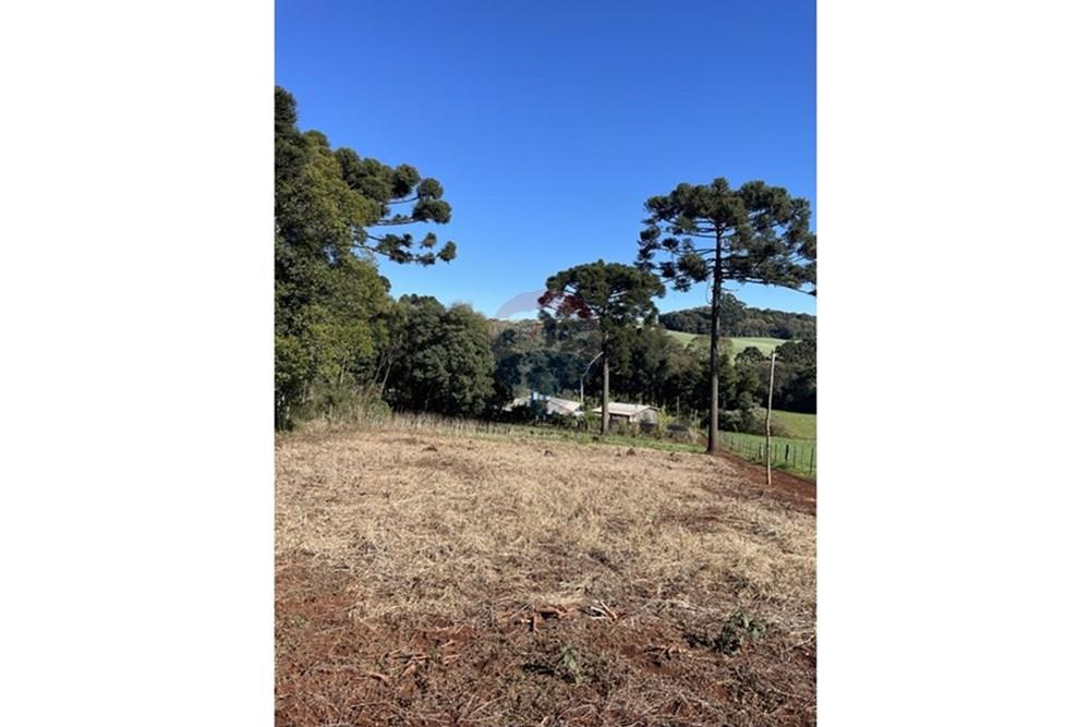 Casa de Campo - Venda - Coxilha , Rio Grande do Sul - 3.jpg - 612621058-26