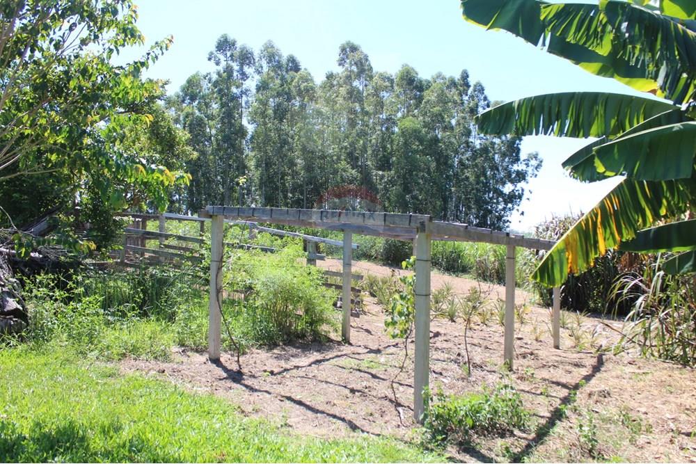 Casa de Campo - Venda - Santo Antônio da Patrulha , Rio Grande do Sul - IMG_3210 (2).JPG - 610161090-7