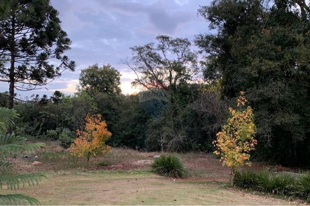 Chácara / Sítio / Fazenda - Venda - Sarandi , Rio Grande do Sul - WhatsApp Image 2025-07-03 at 11.19.36.jpeg - 610341006-382