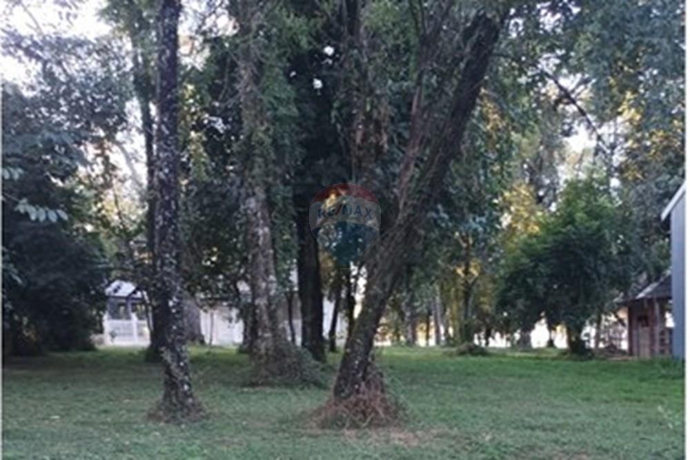 Terreno - Venda - Ronda Alta , Rio Grande do Sul - WhatsApp Image 2025-07-24 at 09.24.25.jpeg - 610231034-5