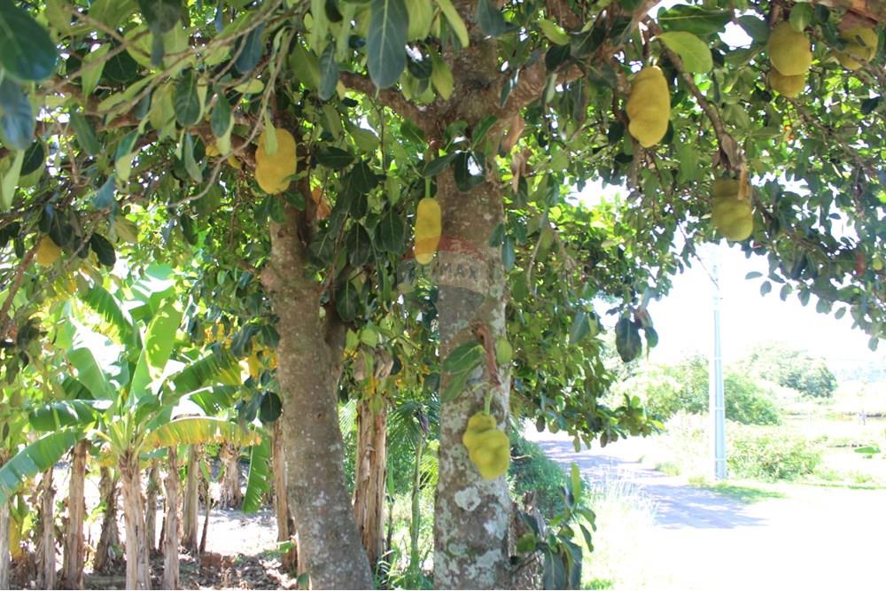Casa de Campo - Venda - Santo Antônio da Patrulha , Rio Grande do Sul - IMG_3206.JPG - 610161090-7