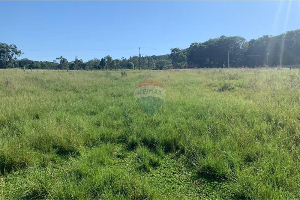 Chácara / Sítio / Fazenda - Venda - Santa Cruz do Sul , Rio Grande do Sul - WhatsApp Image 2025-03-12 at 21.10.30 (1).jpeg - 612741028-22