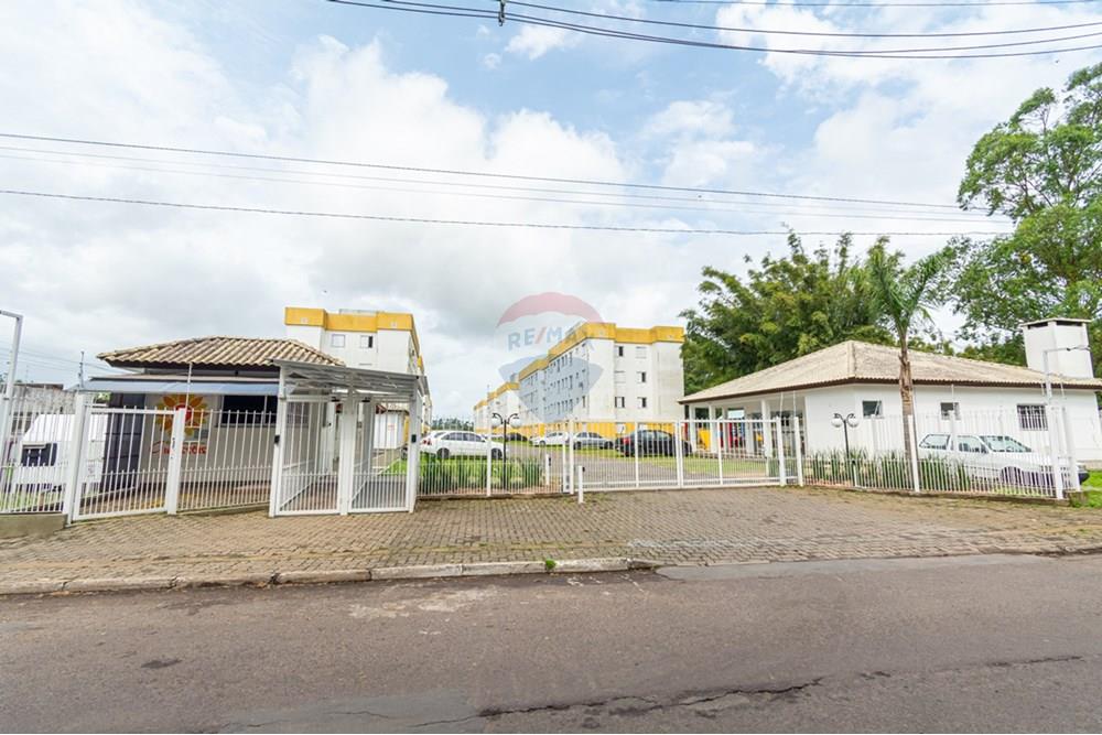 Apartamento - Venda - Gravataí , Rio Grande do Sul - _DSC2759.jpg - 610161100-13