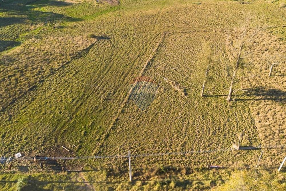 Terreno - Venda - Montenegro , Rio Grande do Sul - WhatsApp Image 2025-07-09 at 15.01.40 (1).jpeg - 610091003-65