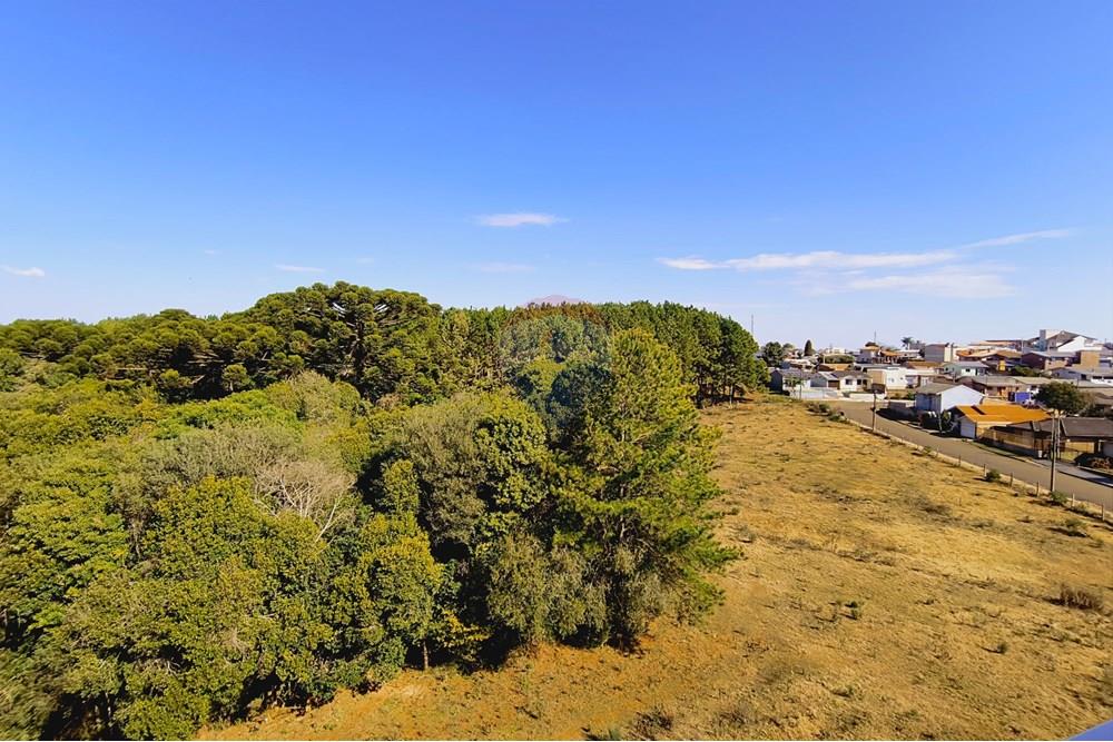 Apartamento - Venda - Lagoa Vermelha , Rio Grande do Sul - IMG-20250714-WA0144.jpg - 610111005-246