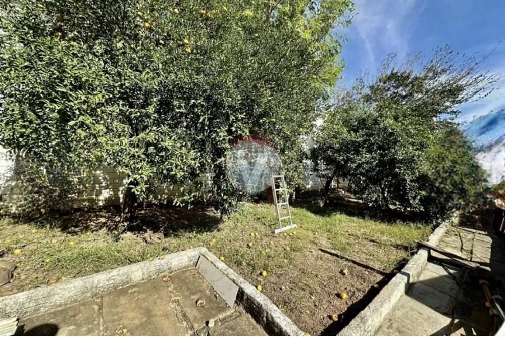 Casa - Alugar - Santa Maria , Rio Grande do Sul - 72b2c778-d430-4992-b232-a59ef91f9440.jpg - 610471003-65