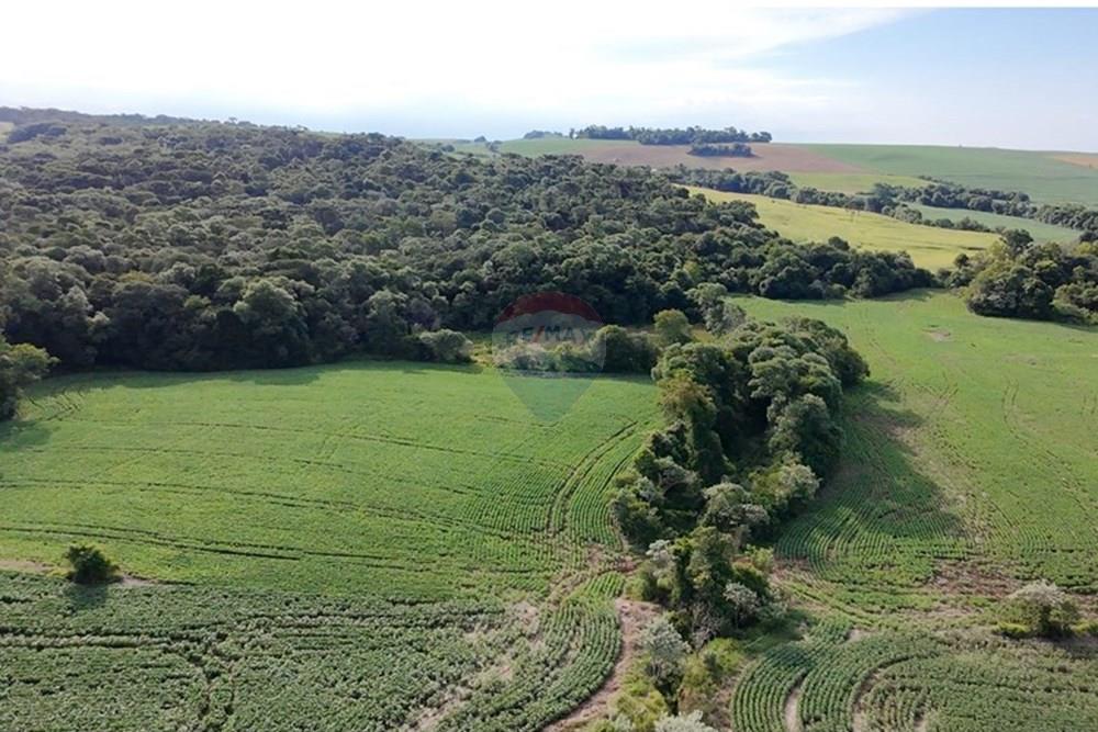 Chácara / Sítio / Fazenda - Venda - Nonoai , Rio Grande do Sul - WhatsApp Image 2025-01-15 at 17.51.22.jpeg - 610231004-83