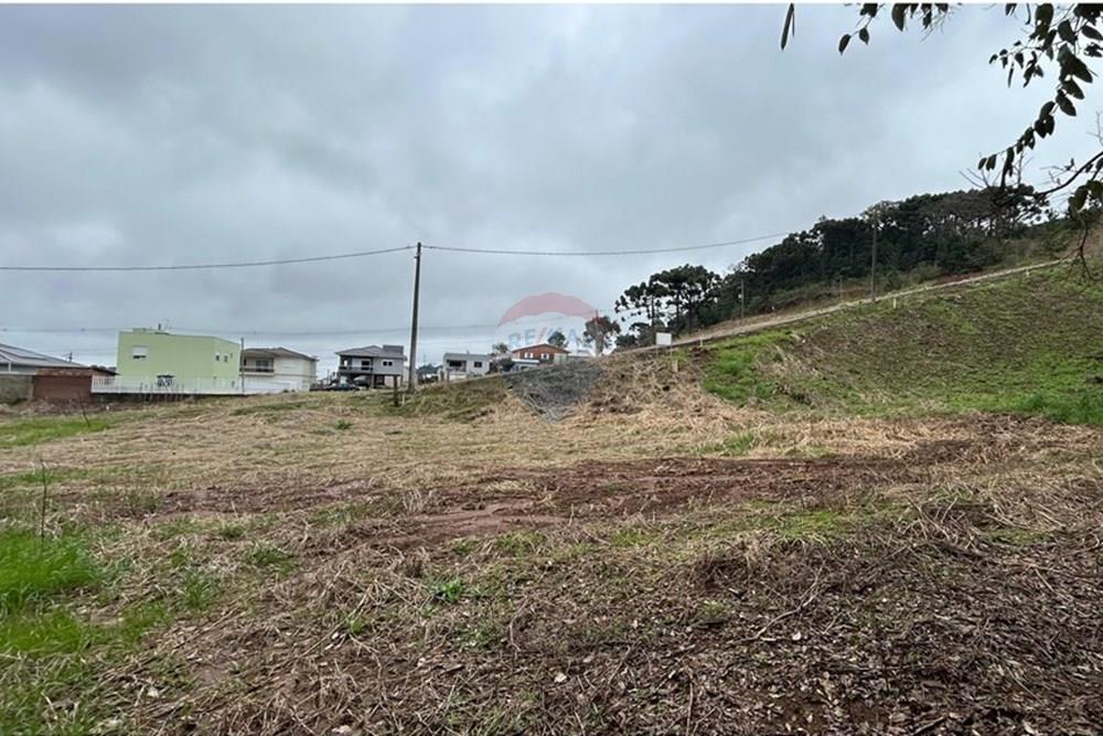 Terreno - Venda - Barão de Cotegipe , Rio Grande do Sul - WhatsApp Image 2025-08-09 at 14.36.35 (3).jpeg - Fachada - 612761035-7