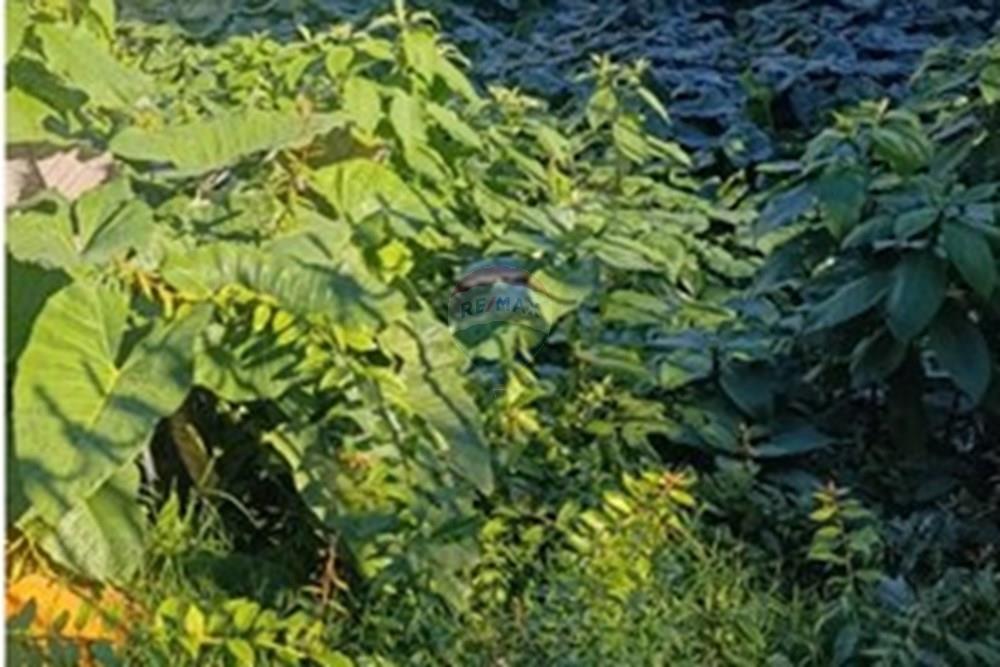 Terreno - Venda - Novo Hamburgo , Rio Grande do Sul - WhatsApp Image 2025-06-26 at 14.43.52.jpeg - 610461003-16