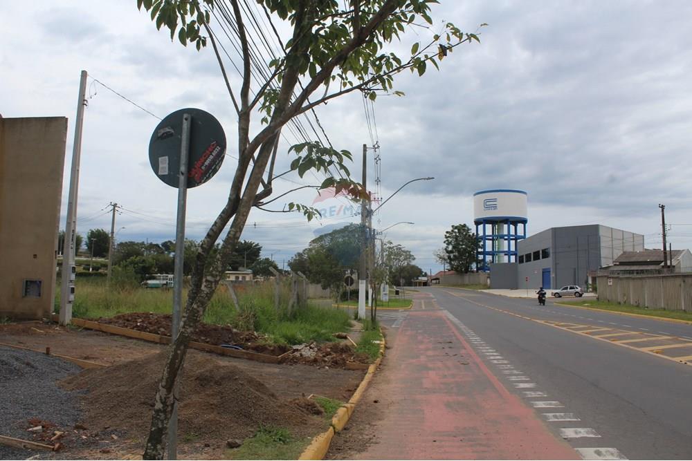 Terreno - Venda - Gravataí , Rio Grande do Sul - IMG_3931.JPG - 610161057-54
