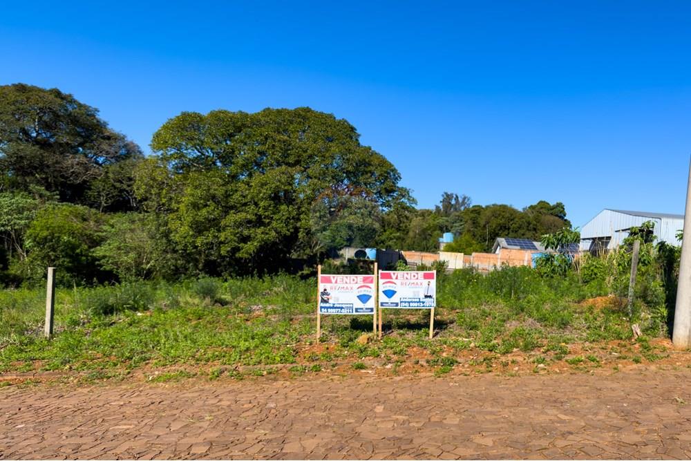 Terreno - Venda - Erechim , Rio Grande do Sul - IMG_4689.jpg - 612761006-55