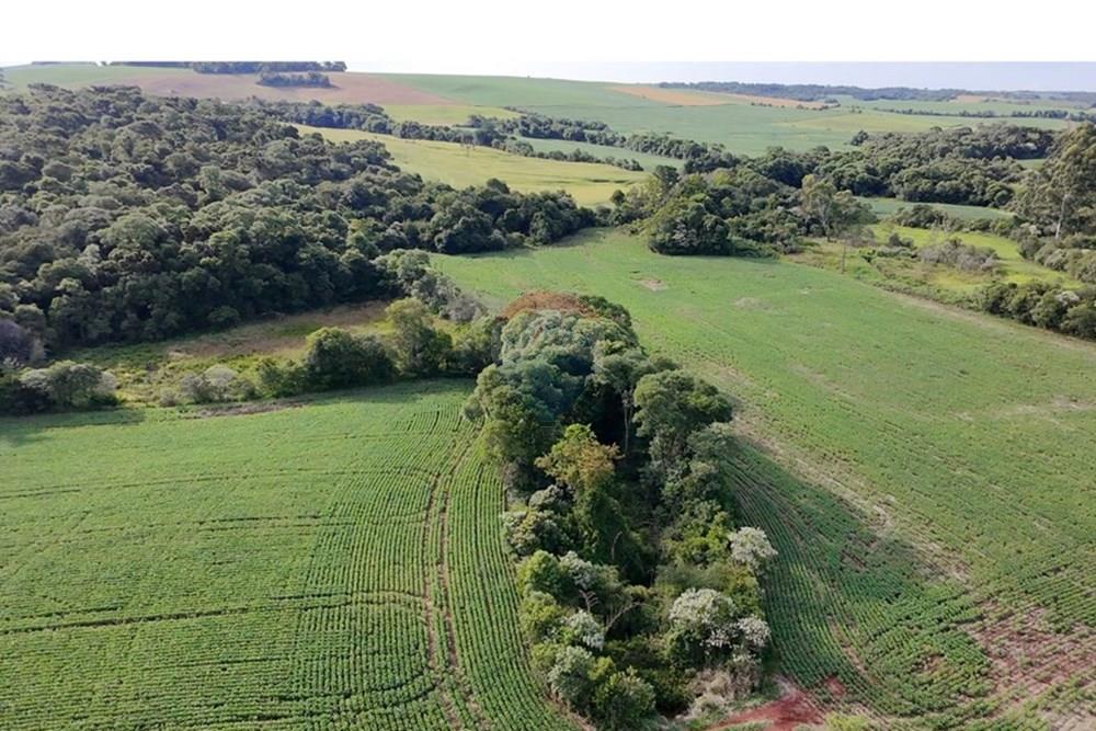 Chácara / Sítio / Fazenda - Venda - Nonoai , Rio Grande do Sul - WhatsApp Image 2025-01-15 at 17.51.24.jpeg - 610231004-83