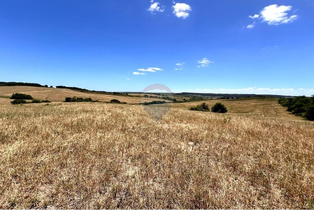 Chácara - Venda - Lavras do Sul , Rio Grande do Sul - WhatsApp Image 2025-01-13 at 22.58.31.jpeg - 612631031-7