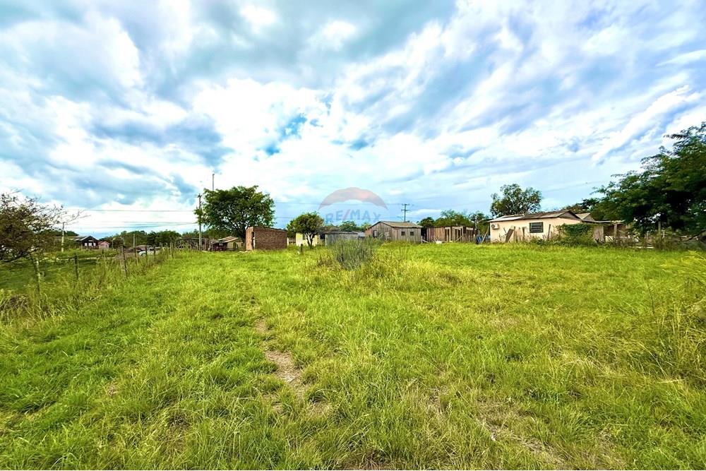 Chácara / Sítio / Fazenda - Venda - São Gabriel , Rio Grande do Sul - Imagem do WhatsApp de 2025-02-26 à(s) 22.07.12_4323dd0a.jpg - 612631046-2