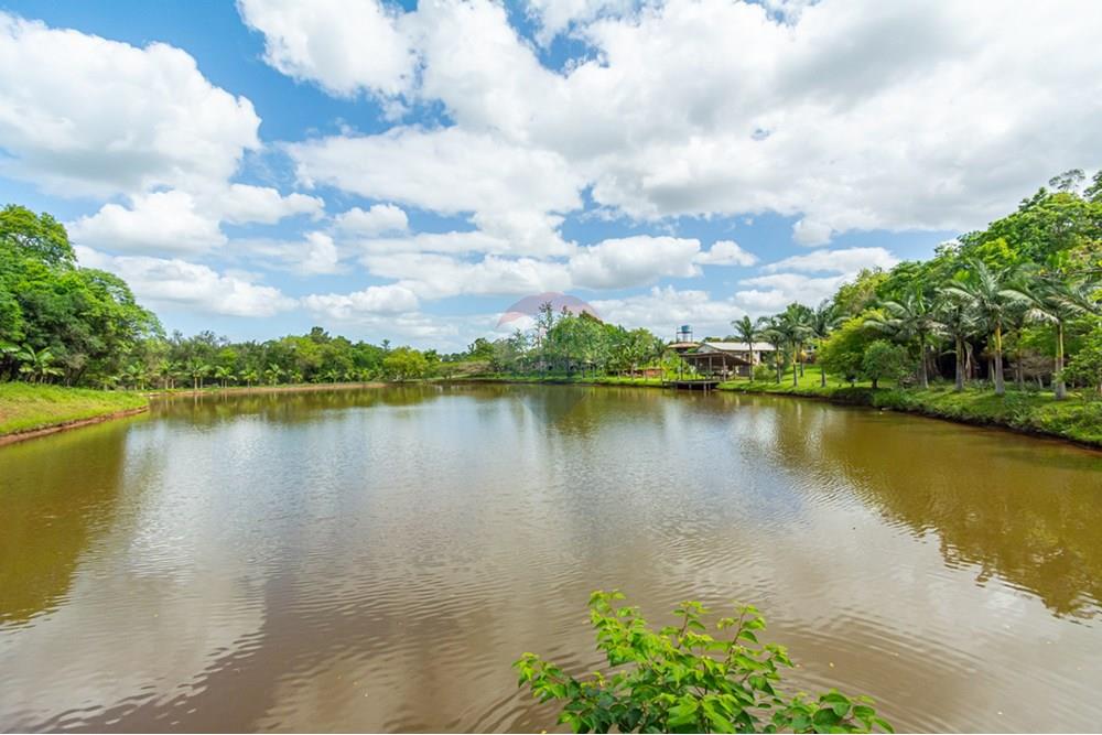Terreno - Venda - Gravataí , Rio Grande do Sul - _DSC4962.jpg - 610161057-39