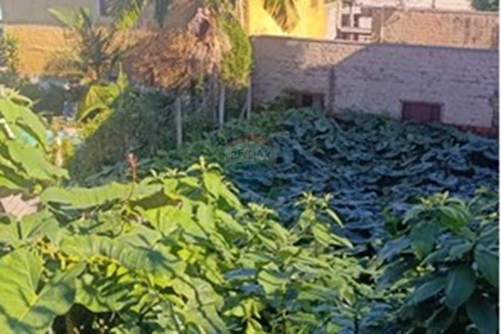 Terreno - Venda - Novo Hamburgo , Rio Grande do Sul - WhatsApp Image 2025-06-26 at 14.43.53.jpeg - 610461003-16