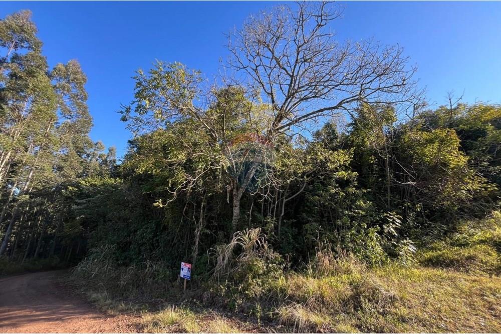 Chácara / Sítio / Fazenda - Venda - Santa Cruz do Sul , Rio Grande do Sul - WhatsApp Image 2025-07-21 at 10.35.21.jpeg - 612741028-54