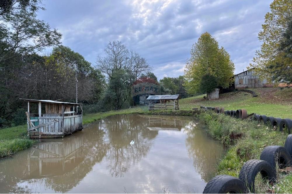 Chácara / Sítio / Fazenda - Venda - Sarandi , Rio Grande do Sul - WhatsApp Image 2025-06-06 at 17.20.43.jpeg - 610341006-377