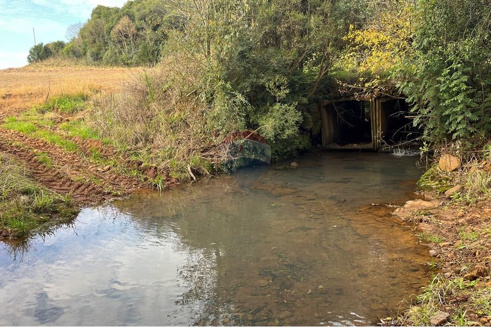 Fazenda - Venda - Lagoa Vermelha , Rio Grande do Sul - IMG_2522.JPG - 610111017-1