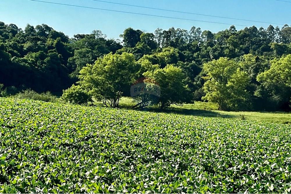 Chácara / Sítio / Fazenda - Venda - Não-Me-Toque , Rio Grande do Sul - WhatsApp Image 2025-01-20 at 20.18.18.jpeg - 610271058-70