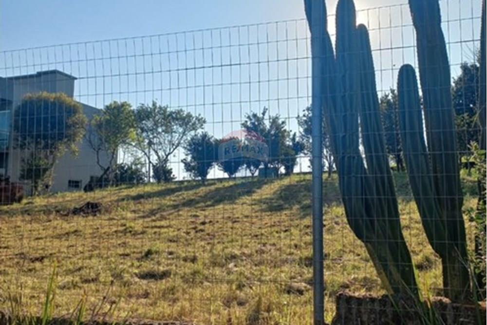 Terreno - Venda - Entre Rios do Sul , Rio Grande do Sul - WhatsApp Image 2025-08-30 at 17.42.50.jpeg - 610231035-3