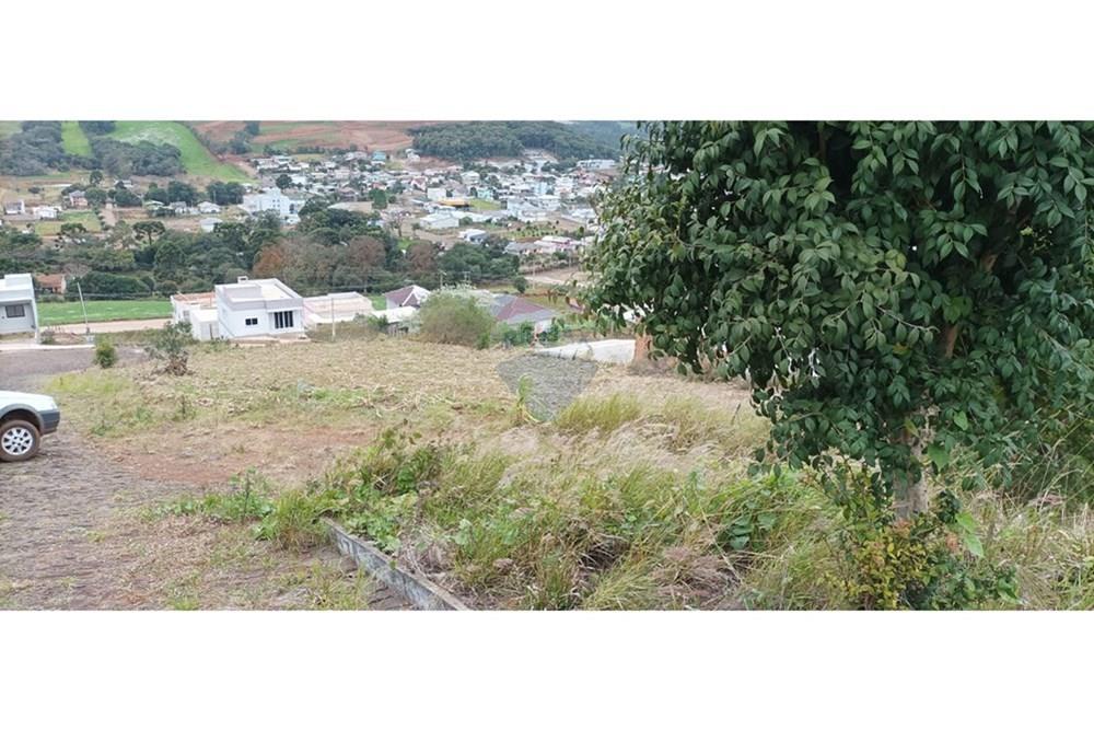 Terreno - Venda - Barão de Cotegipe , Rio Grande do Sul - FOTO REF.01.jpg - 612761034-3