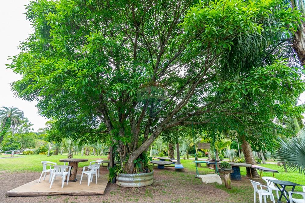 Terreno - Venda - Gravataí , Rio Grande do Sul - _DSC4948.jpg - 610161057-39