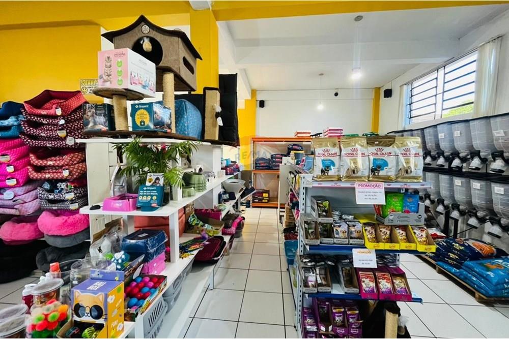 Cj. Comercial/ Sala - Venda - Erechim , Rio Grande do Sul - WhatsApp Image 2025-10-23 at 11.10.10.jpeg - 612761037-36