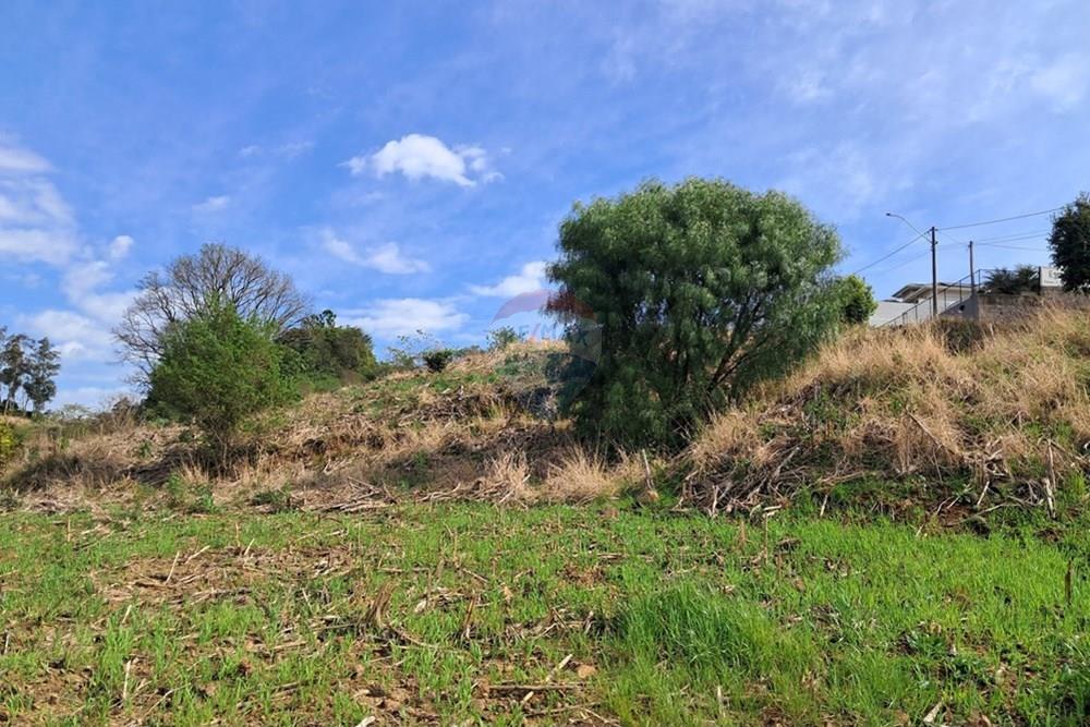 Terreno - Venda - Barão de Cotegipe , Rio Grande do Sul - 242923c6-6d4e-4599-b3fe-3a4026165894.jpg - 612761034-3