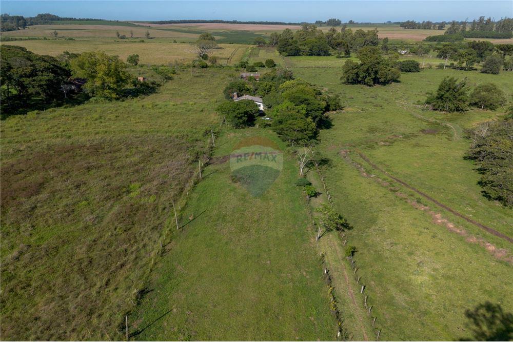 Chácara / Sítio / Fazenda - Venda - Santa Maria , Rio Grande do Sul - 8 - 610311056-76