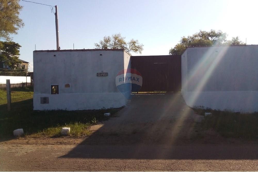 Casa Comercial - Alugar - Eldorado do Sul , Rio Grande do Sul - WhatsApp Image 2025-02-14 at 16.22.54.jpeg - 612551005-100