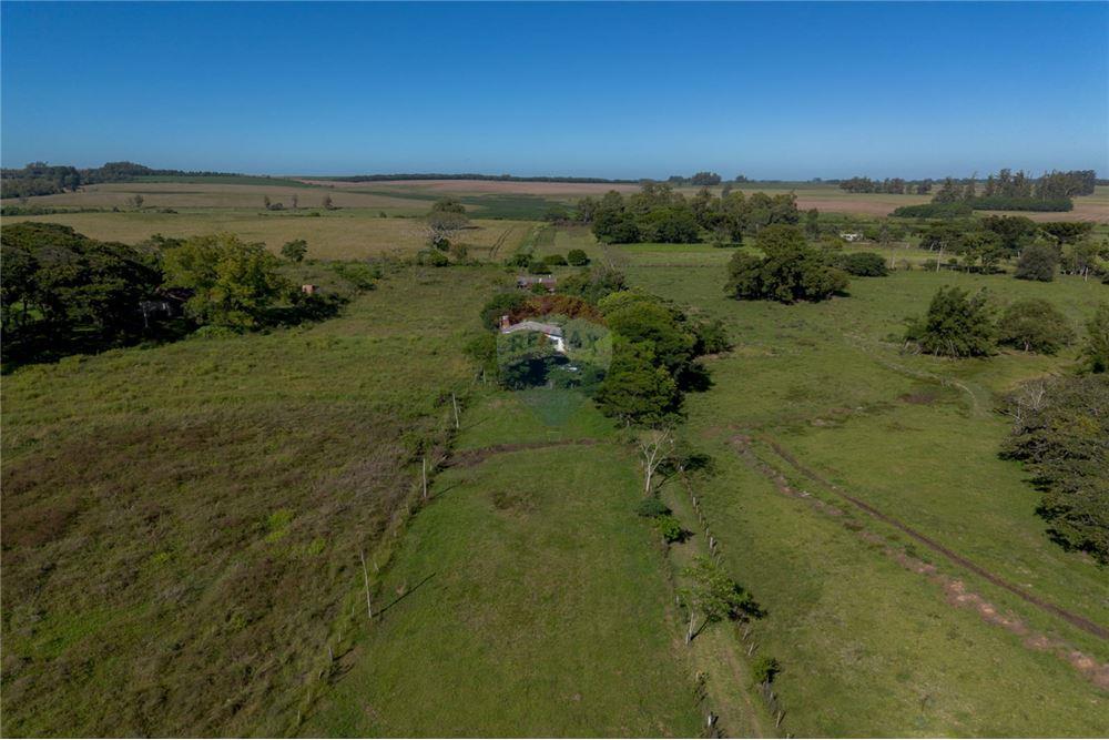 Chácara / Sítio / Fazenda - Venda - Santa Maria , Rio Grande do Sul - 5 - 610311056-76
