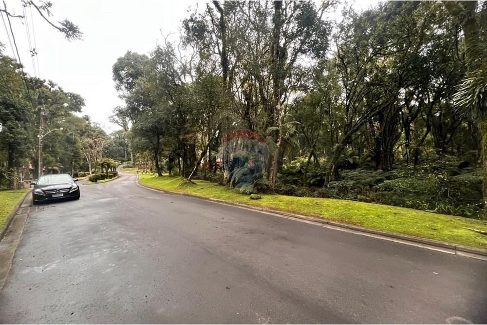 Terreno - Venda - Gramado , Rio Grande do Sul - WhatsApp Image 2024-12-12 at 06.37.30 (4).jpeg - 610131034-40