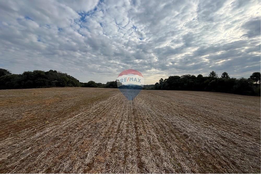Fazenda - Venda - Lagoa Vermelha , Rio Grande do Sul - L_da0d8ae6-348b-4663-9801-4a7f3e1ef7af.jpg - 610111017-1