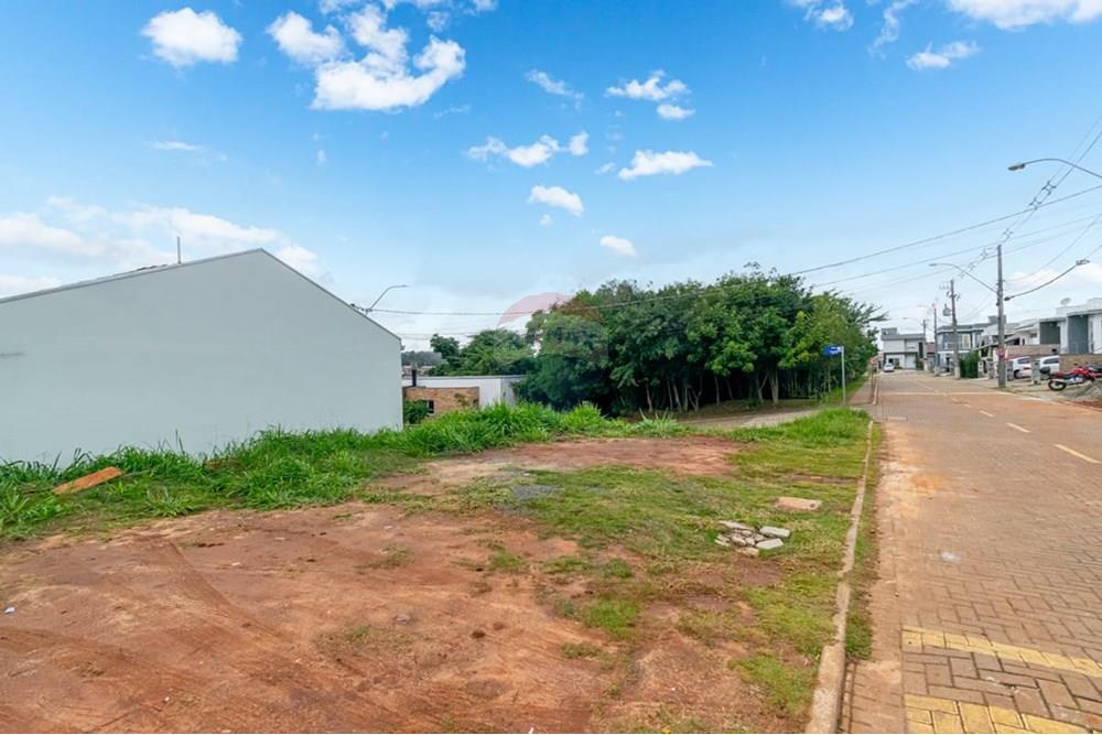 Terreno - Venda - Gravataí , Rio Grande do Sul - rua de cima 1.jpeg - 610051074-4
