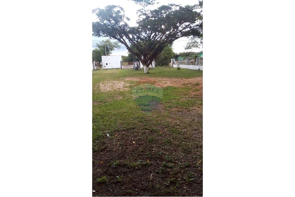 Casa Comercial - Alugar - Eldorado do Sul , Rio Grande do Sul - WhatsApp Image 2025-02-14 at 16.22.44.jpeg - 612551005-100