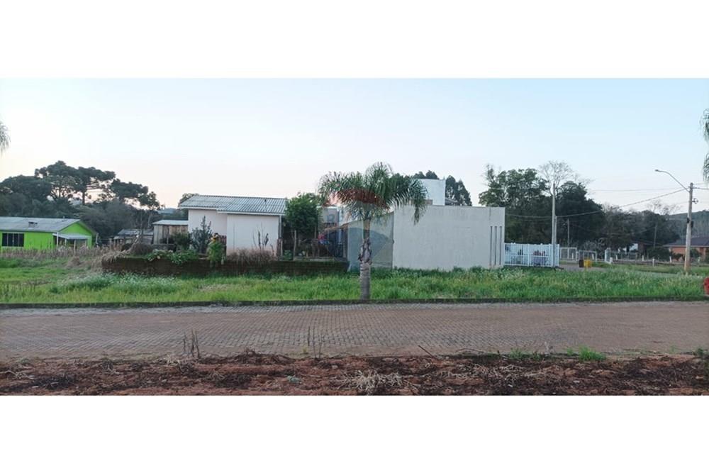 Terreno - Venda - Barão de Cotegipe , Rio Grande do Sul - 2e299aa2-e227-4e6c-aea7-00cfd728aea5.jpg - 612761034-4