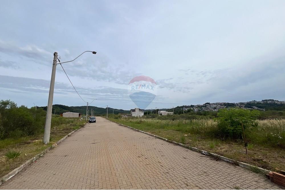 Terreno - Venda - Bento Gonçalves , Rio Grande do Sul - WhatsApp Image 2024-12-11 at 14.13.53.jpeg - 610331038-19