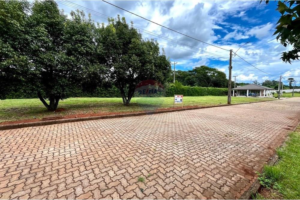 Terreno - Venda - Lagoa dos Três Cantos , Rio Grande do Sul - WhatsApp Image 2025-02-06 at 16.42.35 (1).jpeg - 610271058-75