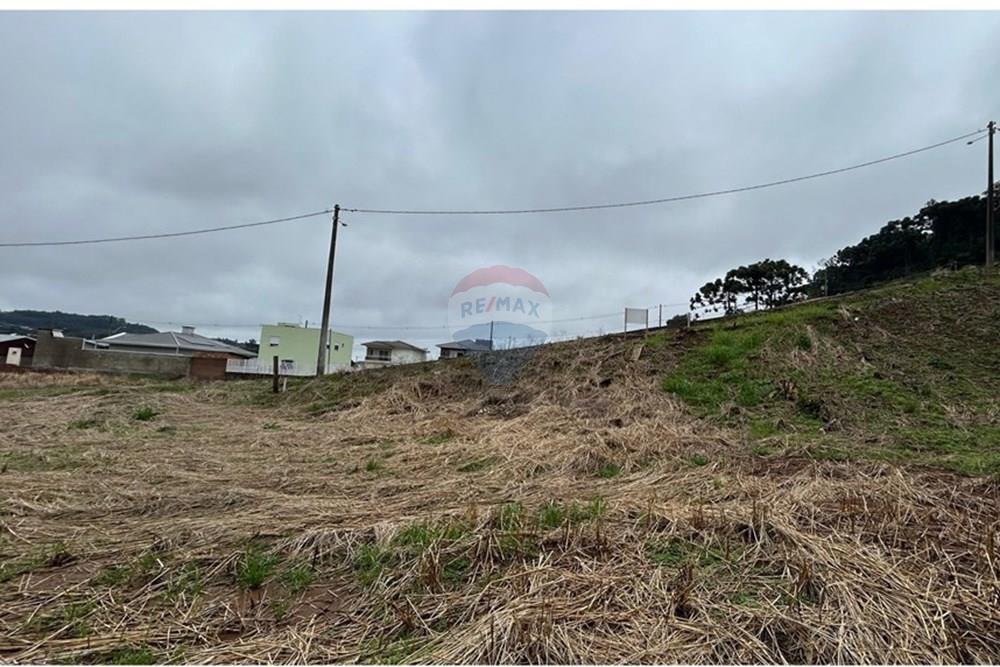 Terreno - Venda - Barão de Cotegipe , Rio Grande do Sul - WhatsApp Image 2025-08-09 at 14.36.34 (1).jpeg - Fachada - 612761035-7