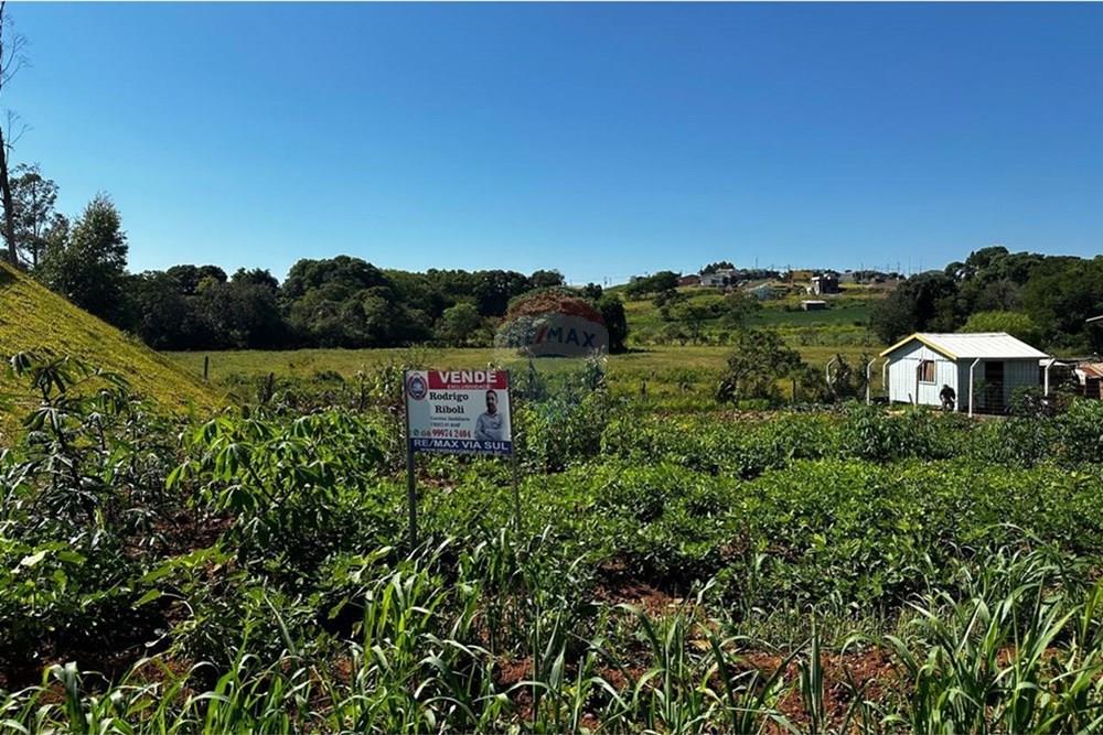 Terreno - Venda - Três Palmeiras , Rio Grande do Sul - WhatsApp Image 2025-01-09 at 09.44.55 (3).jpeg - 610231001-180