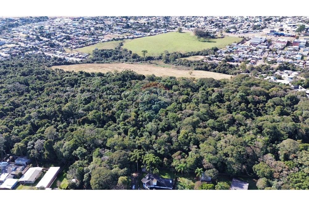 Terreno - Venda - Passo Fundo , Rio Grande do Sul - WhatsApp Image 2025-07-16 at 09.27.04 (3).jpeg - 610271093-26