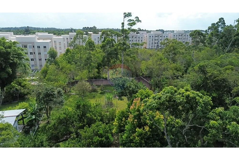 Casa - Venda - Cachoeirinha , Rio Grande do Sul - dji_fly_20250117_155904_0_1737140344138_photo_low_quality.jpg - 610381132-6