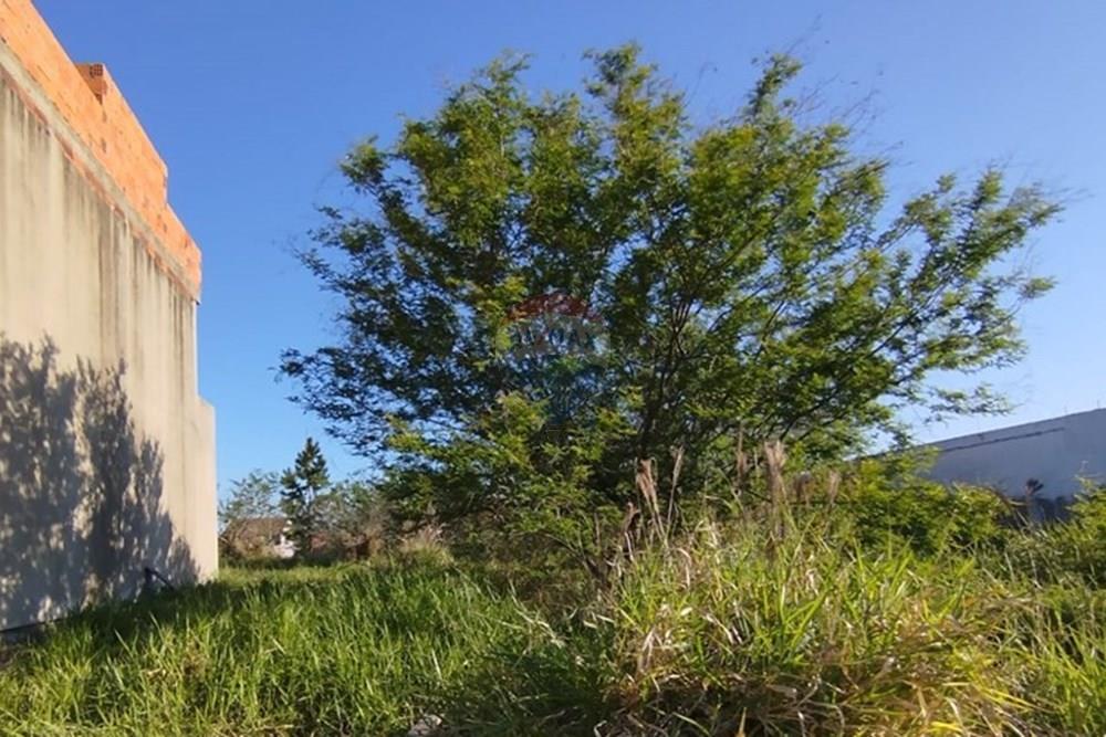 Terreno - Venda - Canoas , Rio Grande do Sul - Imagem do WhatsApp de 2025-09-26 à(s) 19.46.46_40dd3453.jpg - 610241023-66