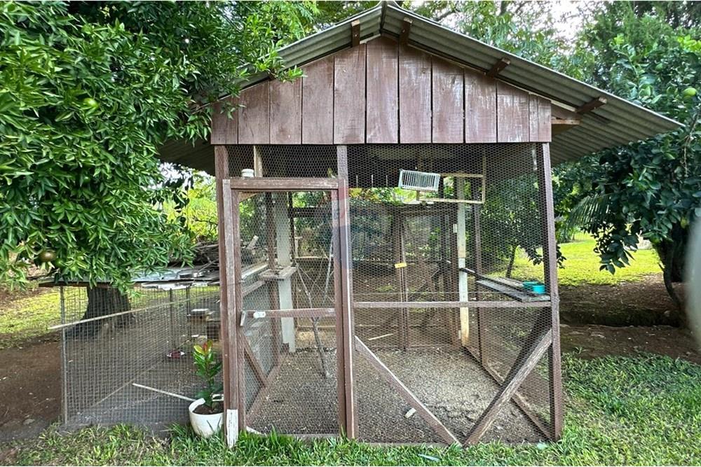 Chácara / Sítio / Fazenda - Venda - Gramado dos Loureiros , Rio Grande do Sul - WhatsApp Image 2025-04-21 at 11.03.22 (4).jpeg - 610231001-195