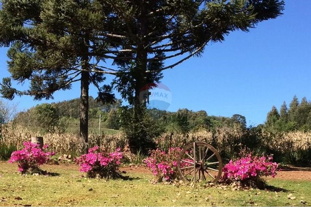 Chácara / Sítio / Fazenda - Venda - Sarandi , Rio Grande do Sul - WhatsApp Image 2025-07-03 at 11.17.29.jpeg - 610341006-382