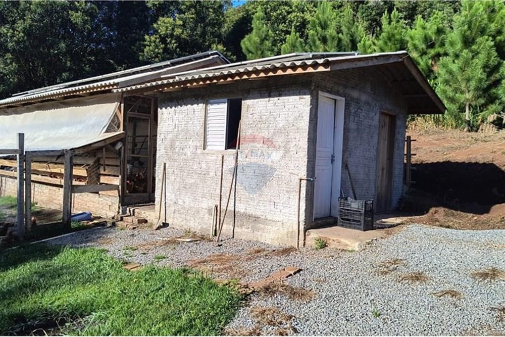 Chácara / Sítio / Fazenda - Venda - Santa Maria do Herval , Rio Grande do Sul - WhatsApp Image 2025-09-15 at 09.14.18 (1).jpeg - 610131005-41