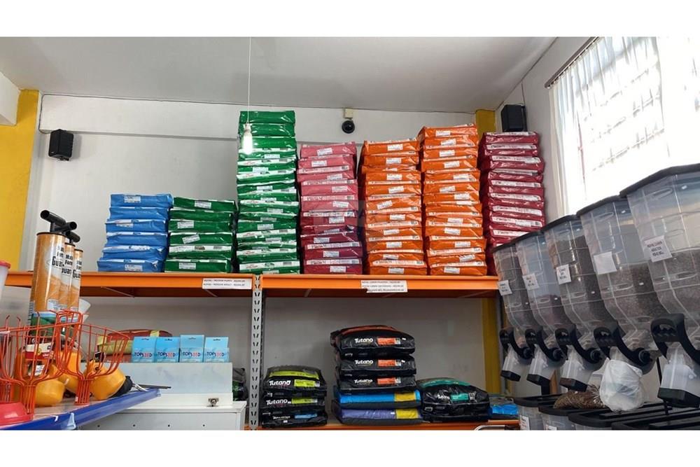 Cj. Comercial/ Sala - Venda - Erechim , Rio Grande do Sul - WhatsApp Image 2025-10-23 at 10.17.13 (3).jpeg - 612761037-36